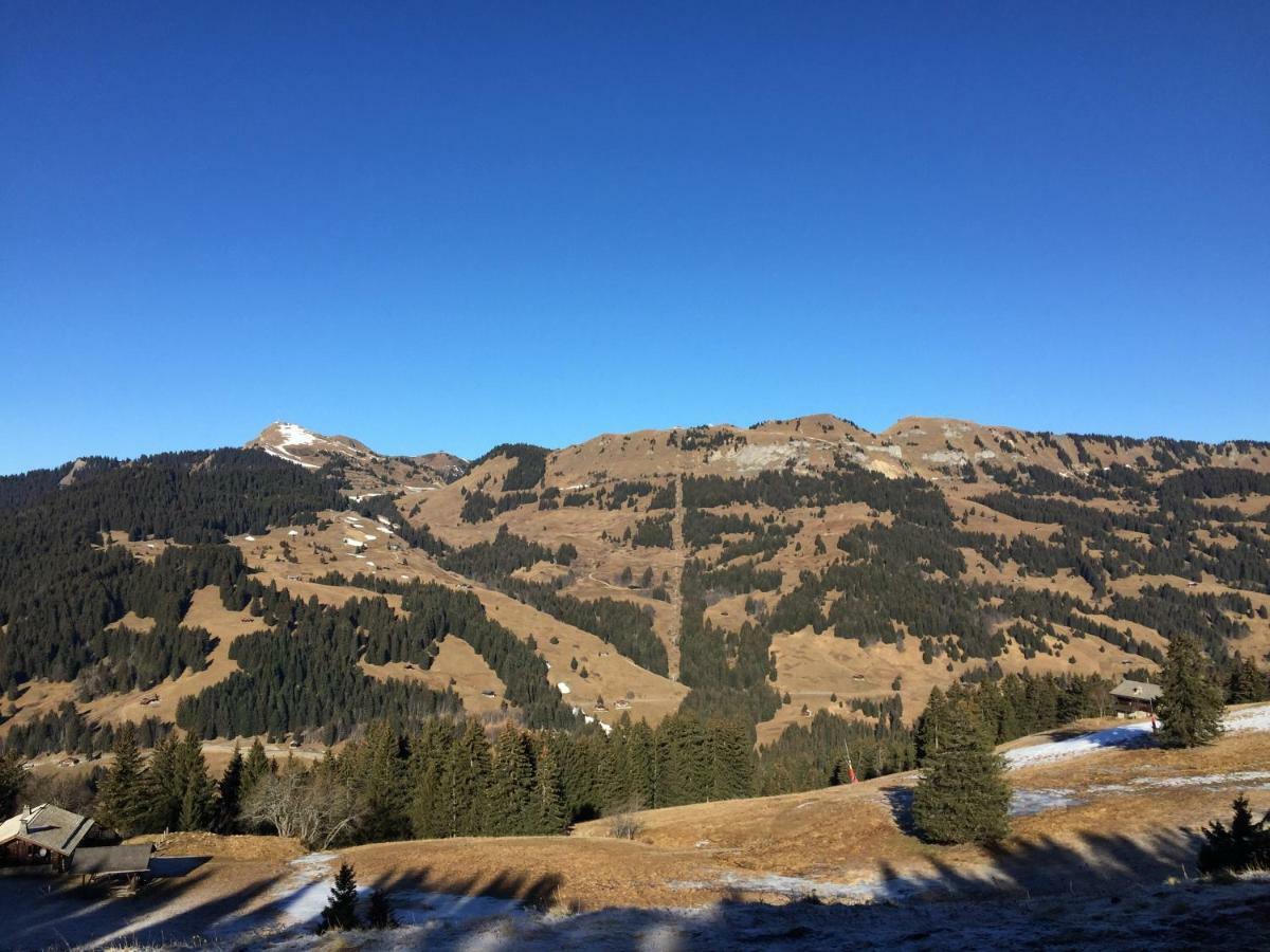 Chalet Rouge Coeur Bex Екстер'єр фото