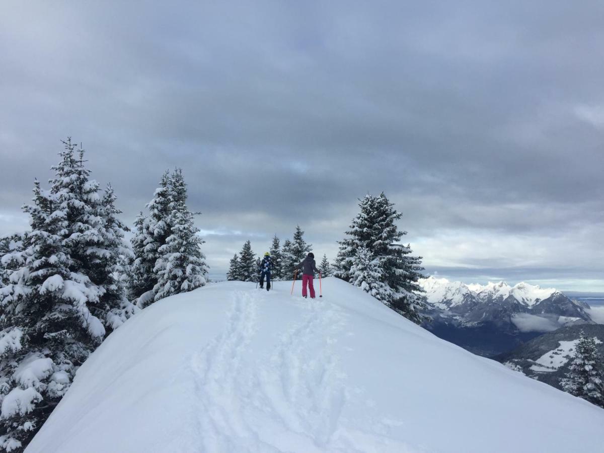 Chalet Rouge Coeur Bex Екстер'єр фото