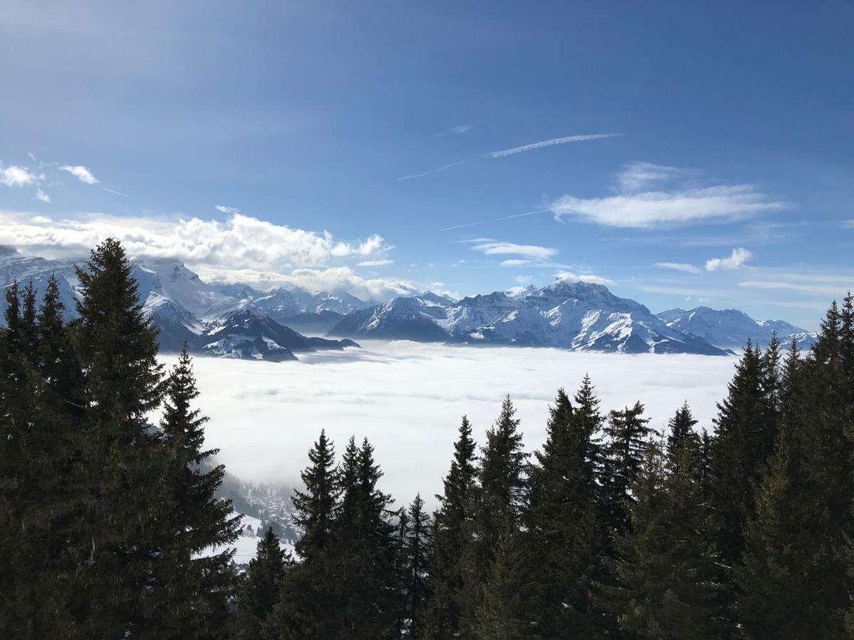 Chalet Rouge Coeur Bex Екстер'єр фото